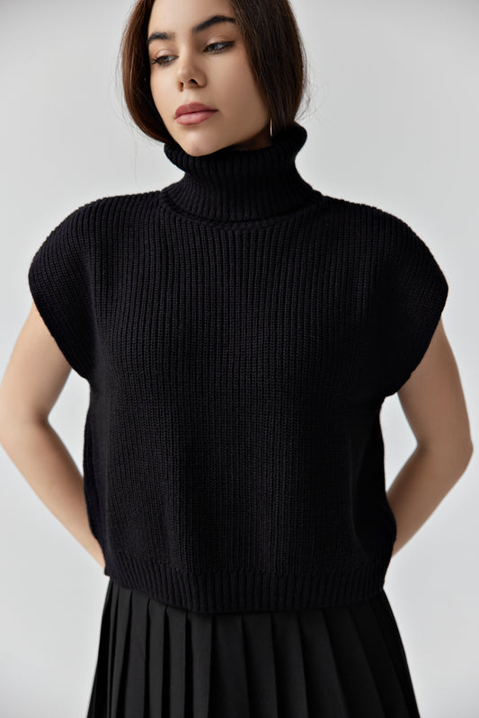 Sleek Turtle Sweater